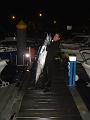 wahoo 32kg 008